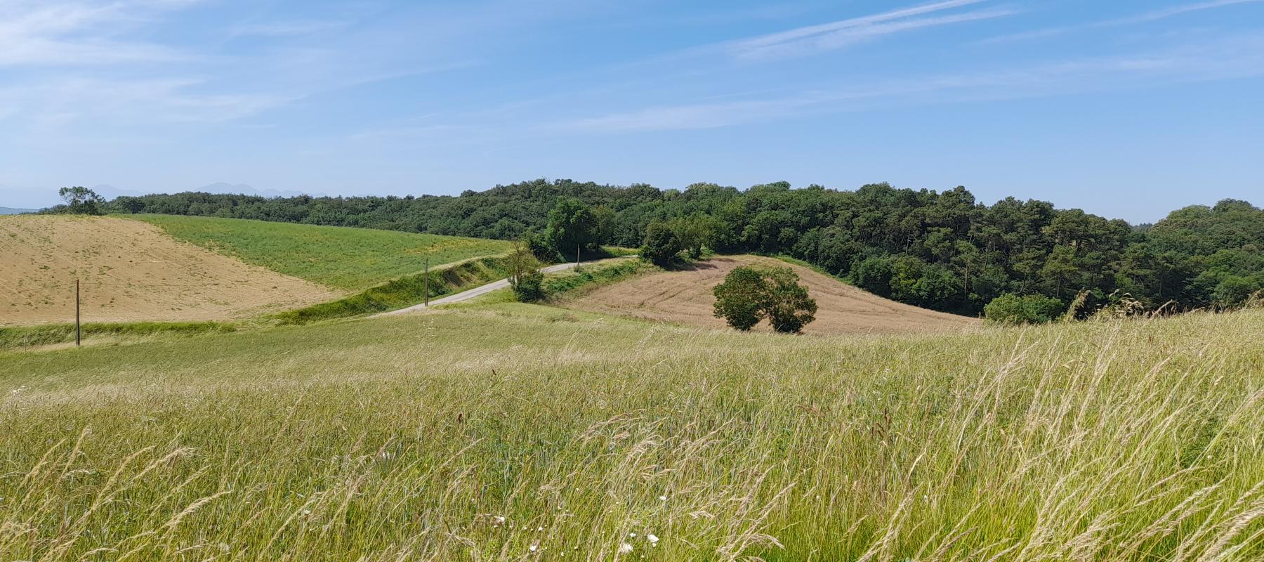Photo du site "Piège et collines du Lauragais"