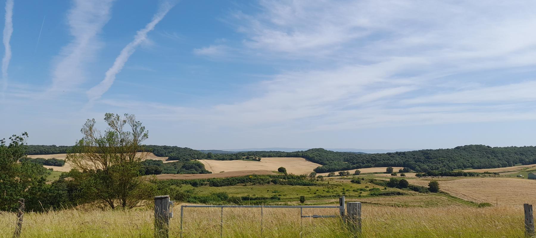 Photo du site "Piège et collines du Lauragais"