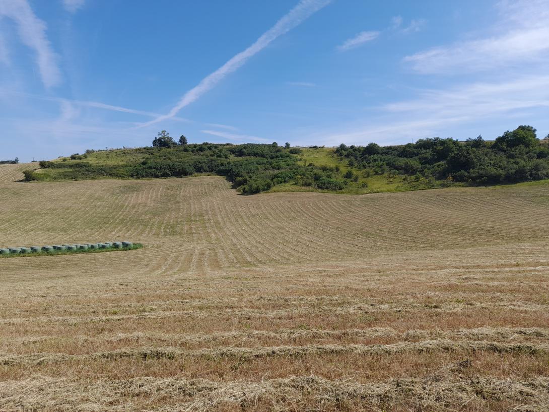 Décoration de fond pour  Découvrez
